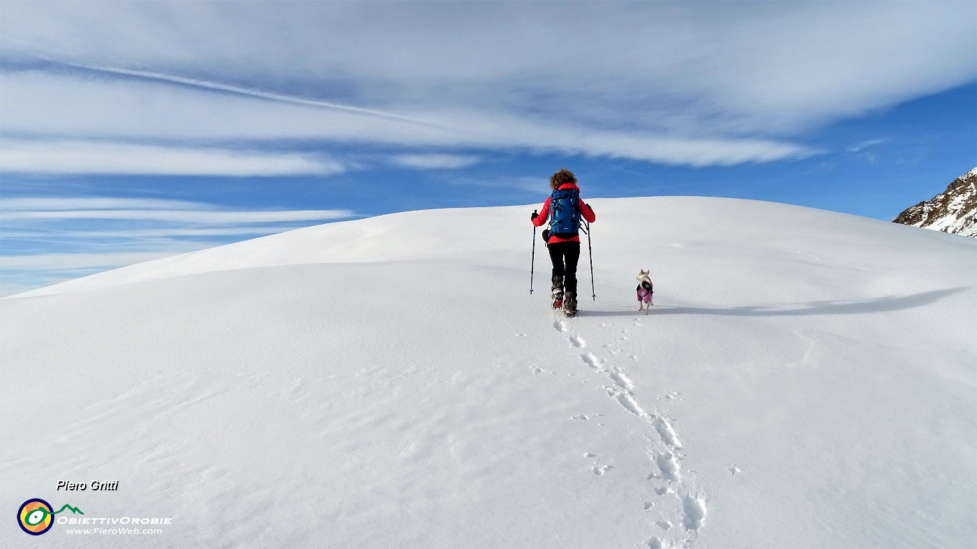 71 Neve, sole, vento, bello camminare nella neve!.JPG -                                